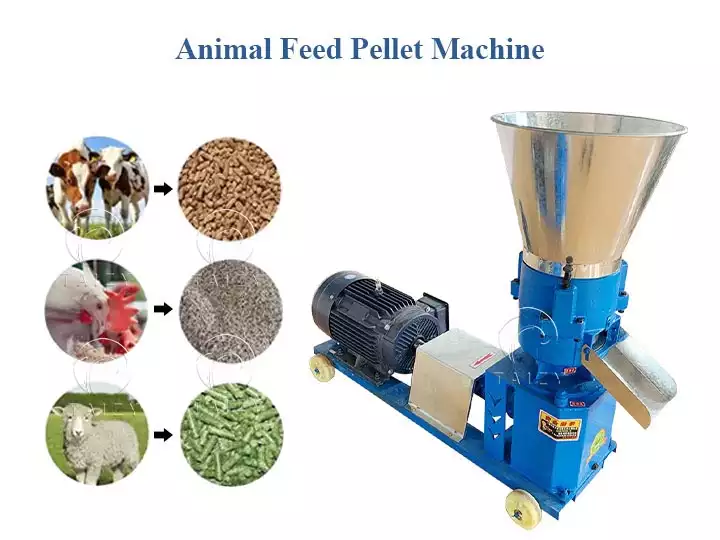Animal feed pellet machine