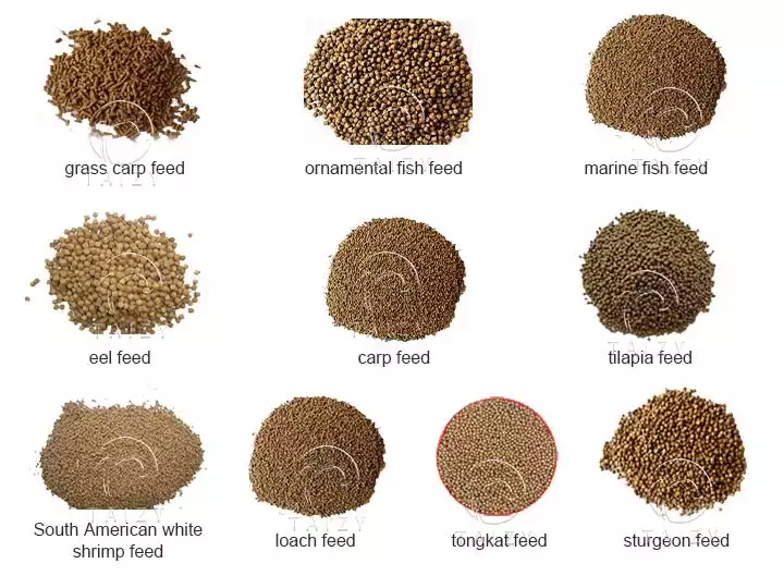 various fish feed pellets