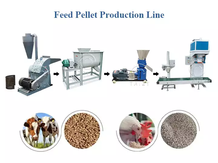 Planta de pellets de ração animal para gado, produção de ração para galinhas