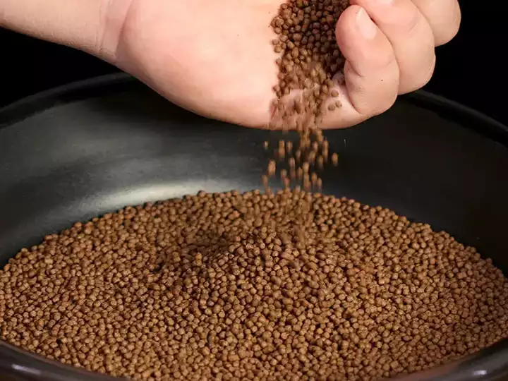 Step-by-step process for catfish feed production