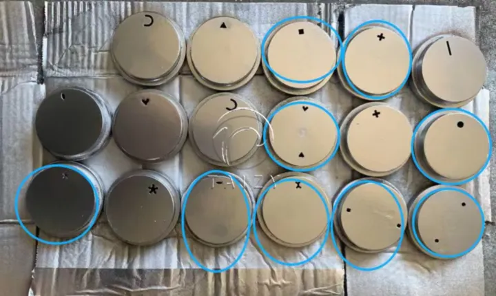 molds for fish feed pellets